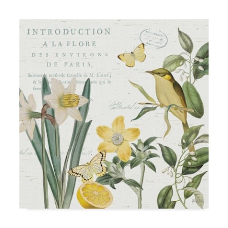 Katie Pertiet 'Citron Curiosities III' Canvas Art,14x14